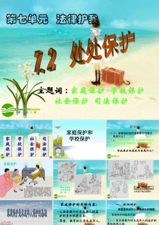 七年级政治下册 处处保护课件 粤教版 课件