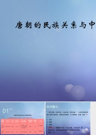 (秋季版)七年级历史下册 第5单元 隋唐时期 第4课(唐朝的民族关系与中外关系)误区预警素材 川教版 素材