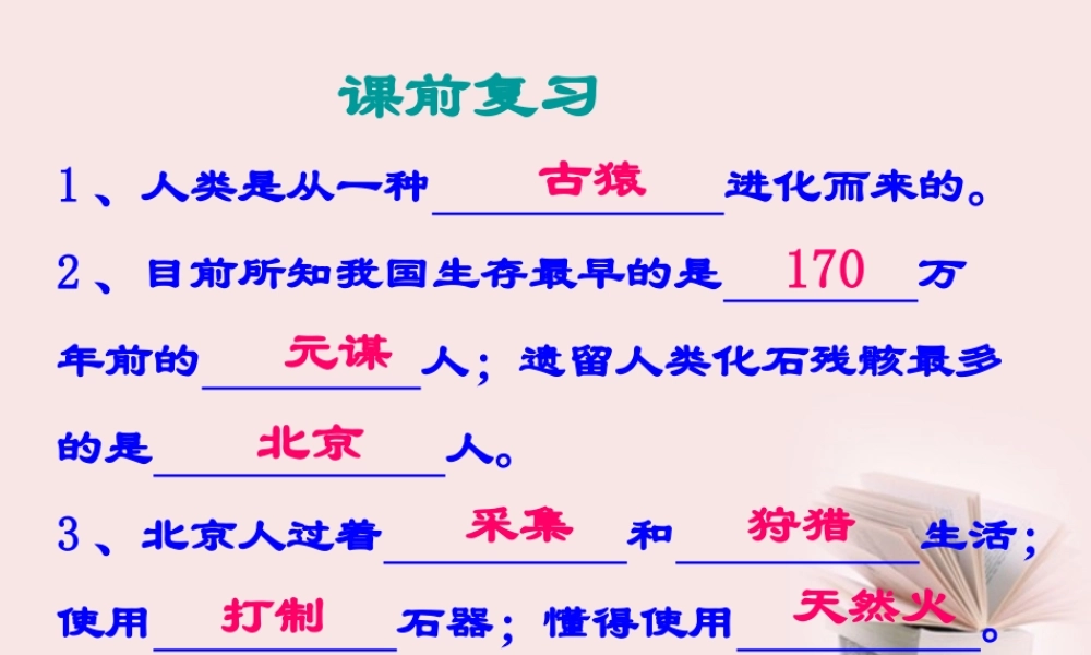 七年级历史下册 1.2(原始农耕文化)课件 华东师大版 课件