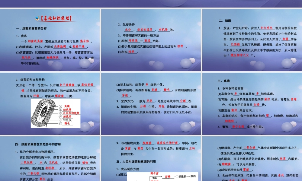 中考生物一轮复习 第五单元 第四、五章 细菌、真菌以及病毒课件 新人教版 课件