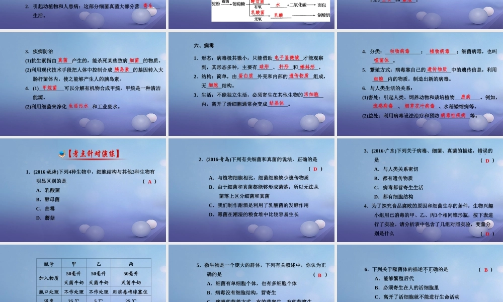 中考生物一轮复习 第五单元 第四、五章 细菌、真菌以及病毒课件 新人教版 课件