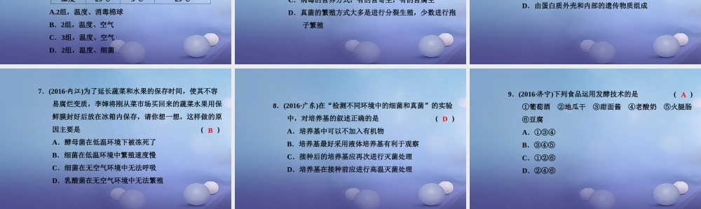 中考生物一轮复习 第五单元 第四、五章 细菌、真菌以及病毒课件 新人教版 课件