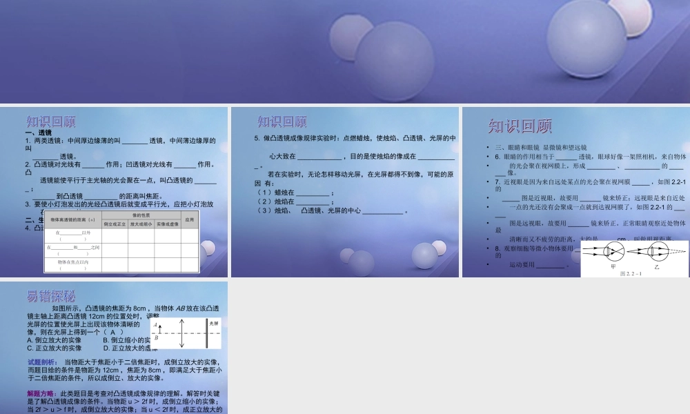 中考物理总复习 第三章 透镜及其应用课件