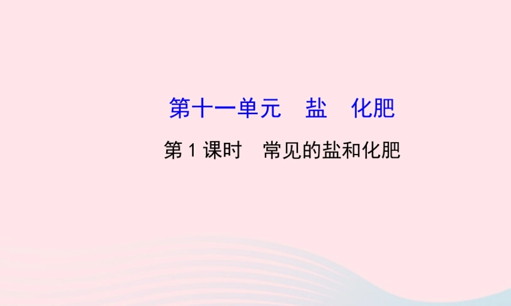 九年级化学下册 第十一单元 盐 化肥 第1课时常见的盐和化肥课件 (新版)新人教版 课件