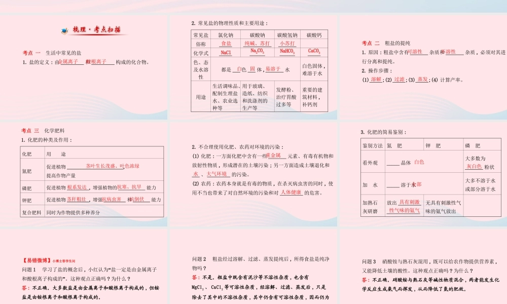 九年级化学下册 第十一单元 盐 化肥 第1课时常见的盐和化肥课件 (新版)新人教版 课件