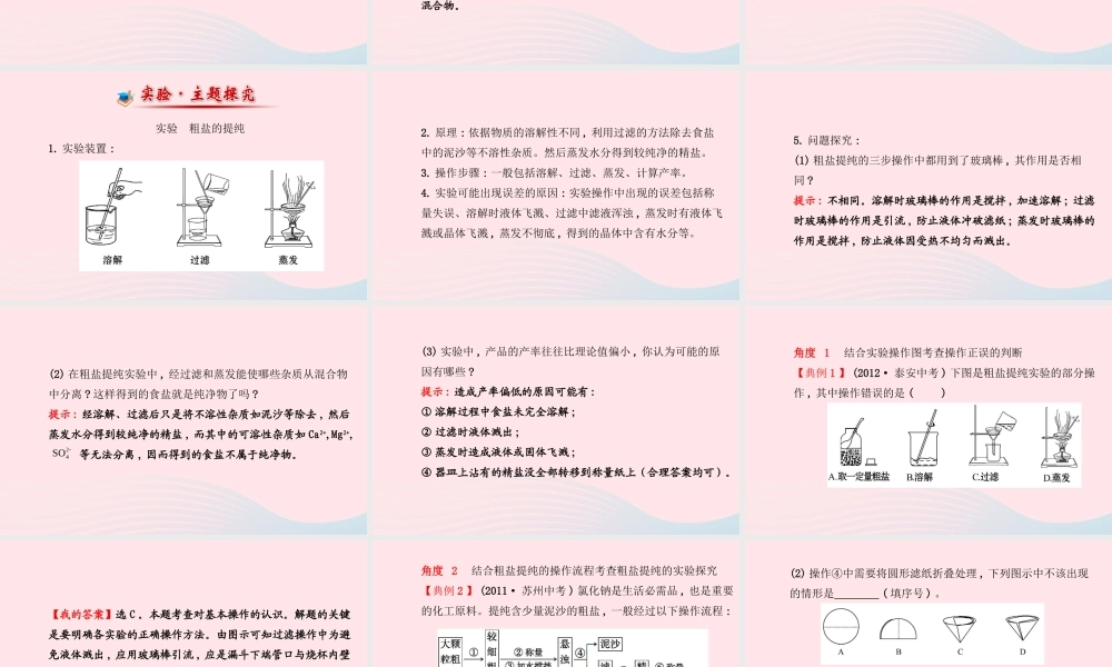 九年级化学下册 第十一单元 盐 化肥 第1课时常见的盐和化肥课件 (新版)新人教版 课件