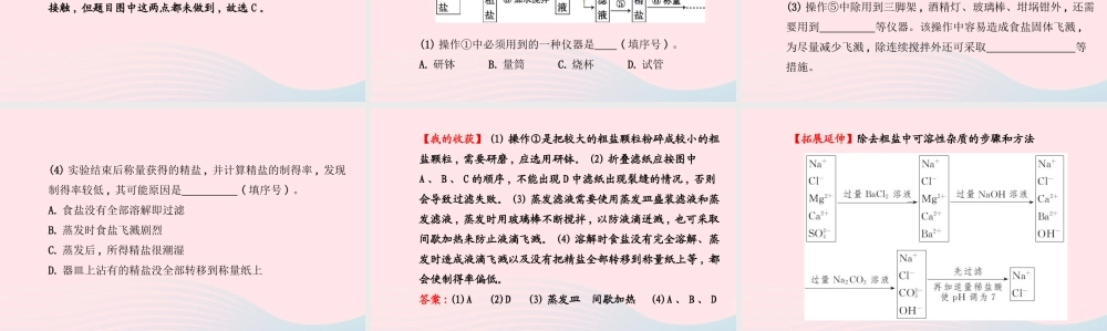 九年级化学下册 第十一单元 盐 化肥 第1课时常见的盐和化肥课件 (新版)新人教版 课件