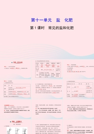 九年级化学下册 第十一单元 盐 化肥 第1课时常见的盐和化肥课件 (新版)新人教版 课件
