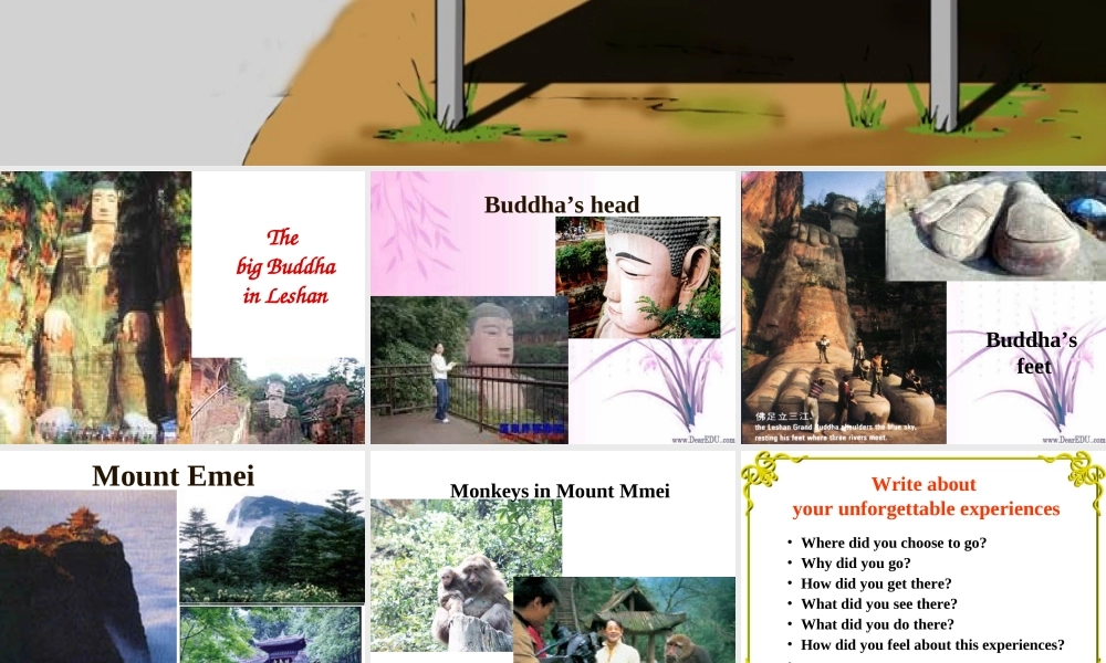 Unit4 integrating skills 人教版过渡教材 课件