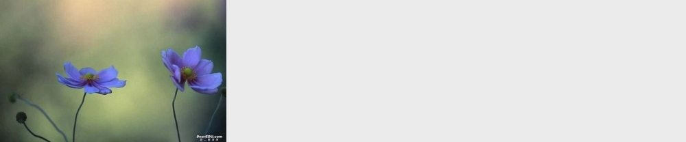 unit7iving with disease 安徽省高二英语Unit7 iving with disease课件(含ppt,flash)人教版 安徽省高二英语Unit7 iving with disease课件(含ppt,flash)人教版