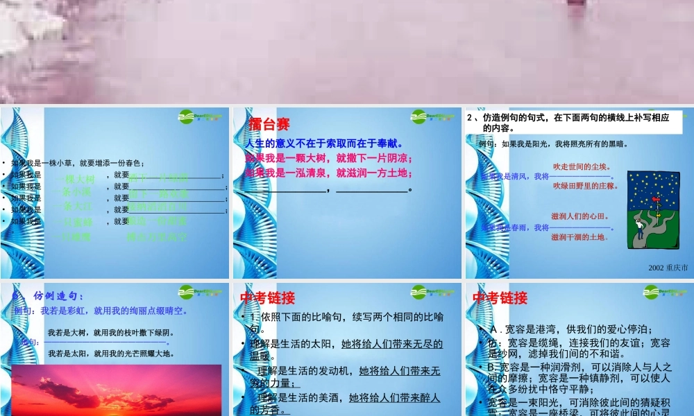 中考语文专题复习课件 仿写 课件