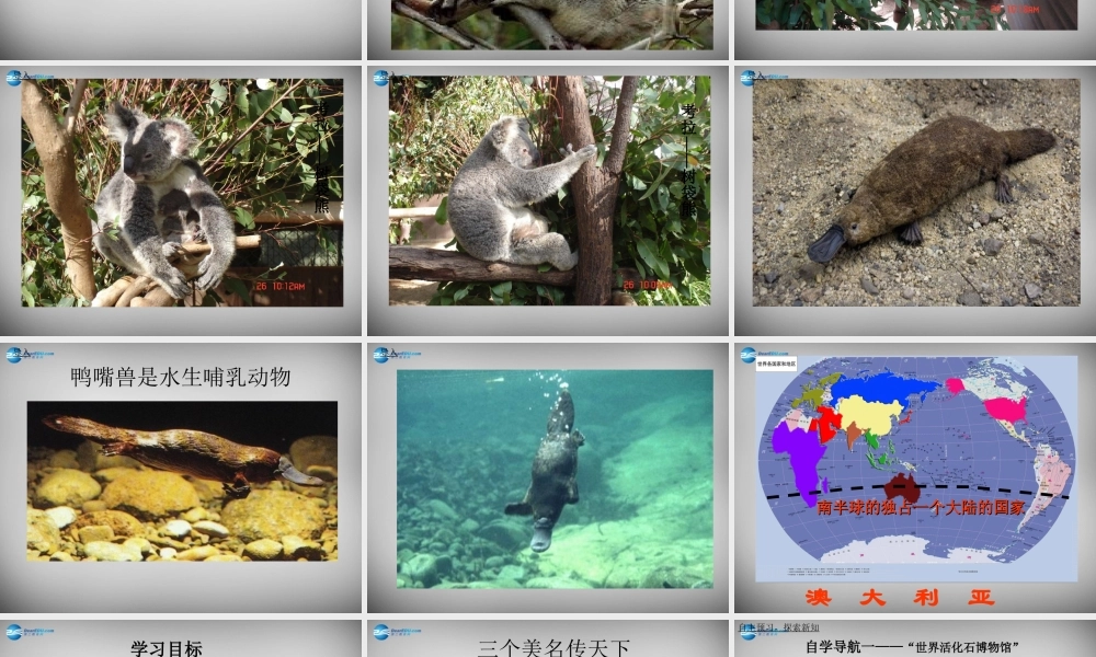 七年级地理下册 8.7 澳大利亚课件 湘教版 课件