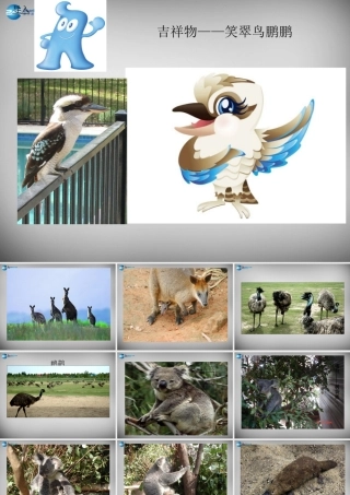 七年级地理下册 8.7 澳大利亚课件 湘教版 课件