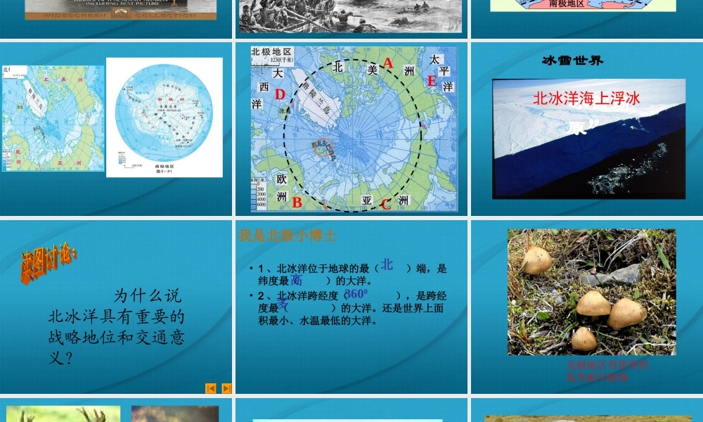 七年级地理下册 了解地区之北极和南极课件 湘教版 课件