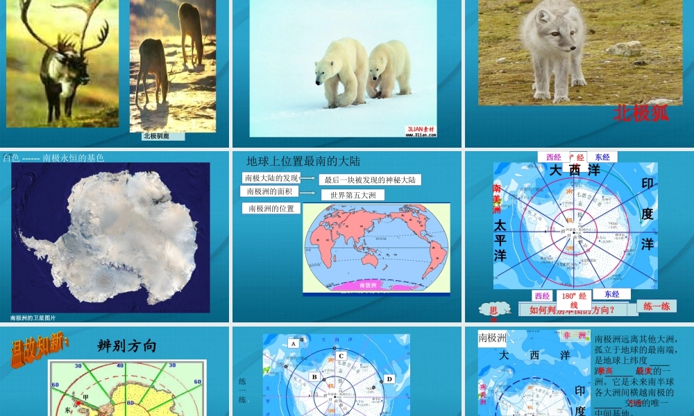 七年级地理下册 了解地区之北极和南极课件 湘教版 课件