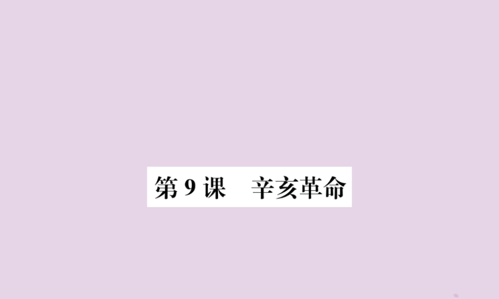 (河南专版)八年级历史上册 第三单元 资产阶级民主革命与中华民国的建立 第9课 辛亥革命课件 新人教版 课件