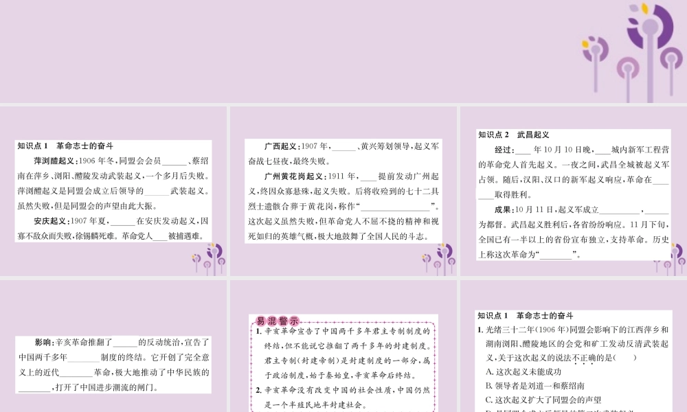 (河南专版)八年级历史上册 第三单元 资产阶级民主革命与中华民国的建立 第9课 辛亥革命课件 新人教版 课件