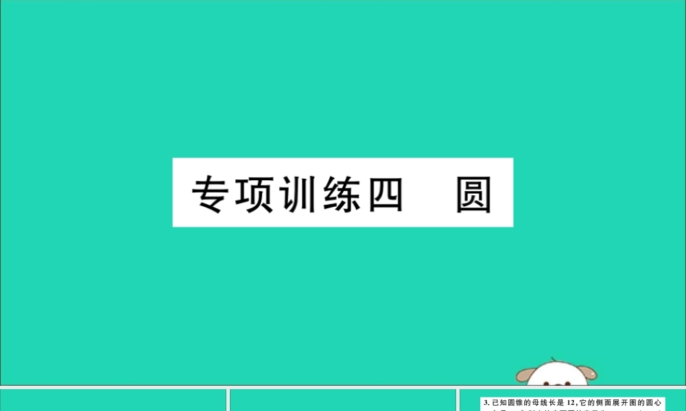 (通用)九年级数学下册 专项训练四 圆习题讲评课件 (新版)新人教版 课件