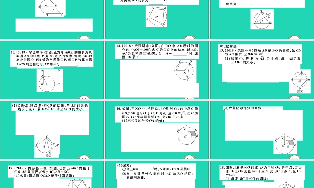 (通用)九年级数学下册 专项训练四 圆习题讲评课件 (新版)新人教版 课件