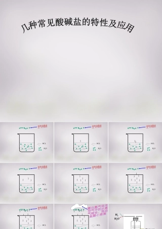 九年级化学下册 几种常见的酸碱盐的特性及应用课件 新人教版 课件