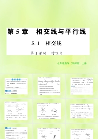 七年级数学上册 第5章 相交线与平行线 5.1 相交线 第1课时 对顶角习题课件 (新版)华东师大版 课件