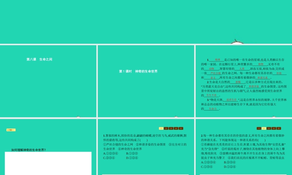 七年级政治上册 第三单元 倾听自然的声音 第8课 生命之间 第1框 神奇的生命世界课件 人民版 课件