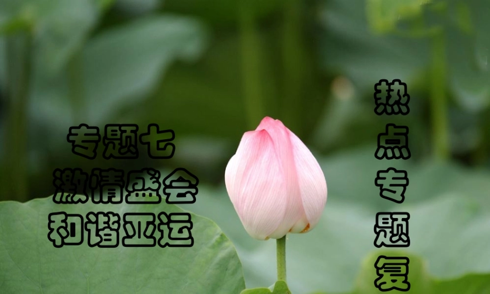 中考热点系列 专题七 激情盛会 和谐亚运 课件