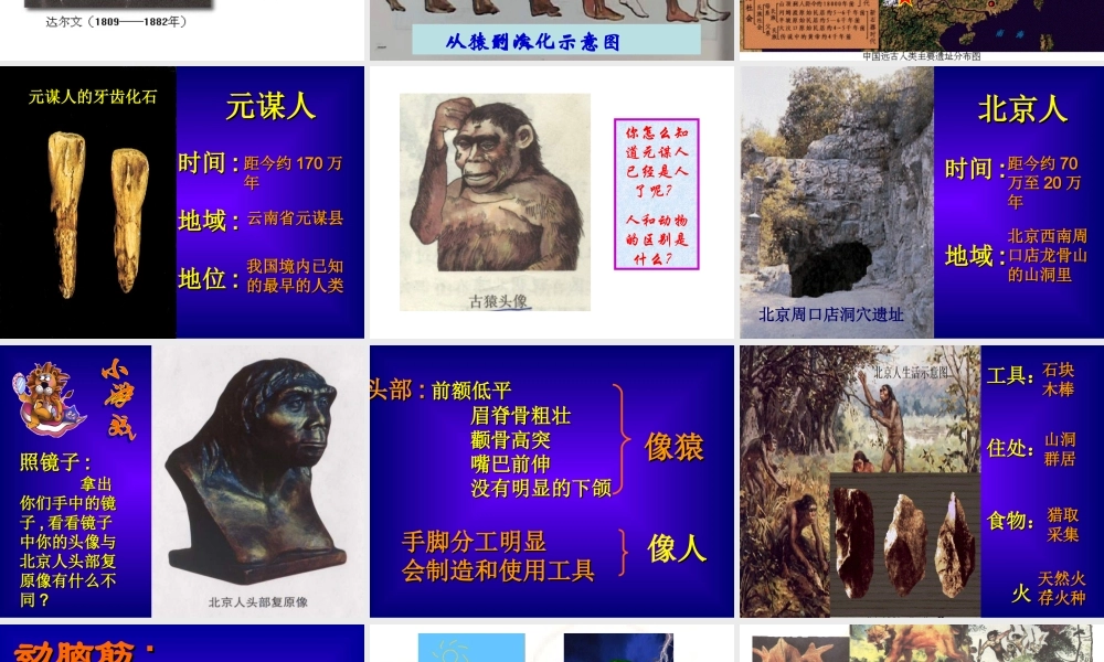 七年级历史祖国境内的远古居民课件人教版 课件