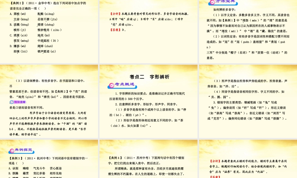 中考语文第二轮复习 第一部分积累与运用第一章字音字形课件 人教新课标版 课件