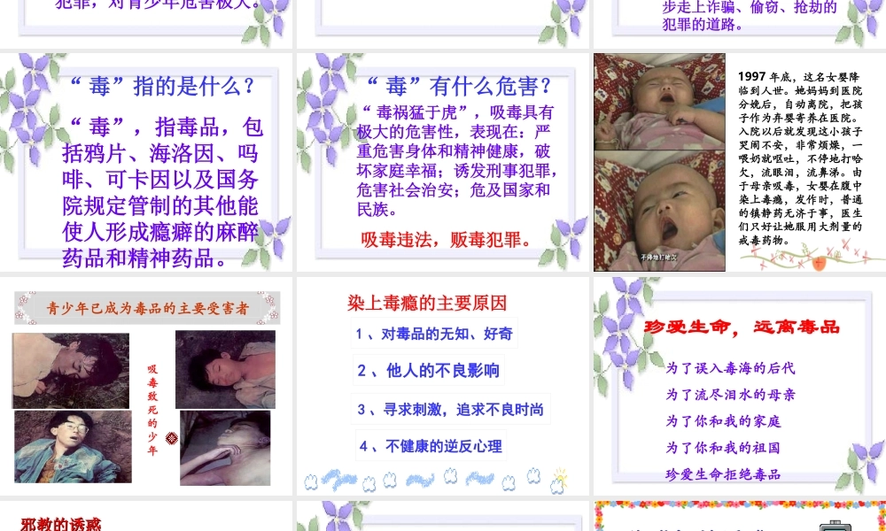 七年级政治第八单元第三课对不良诱惑说 不 课件 新课标 人教版 课件