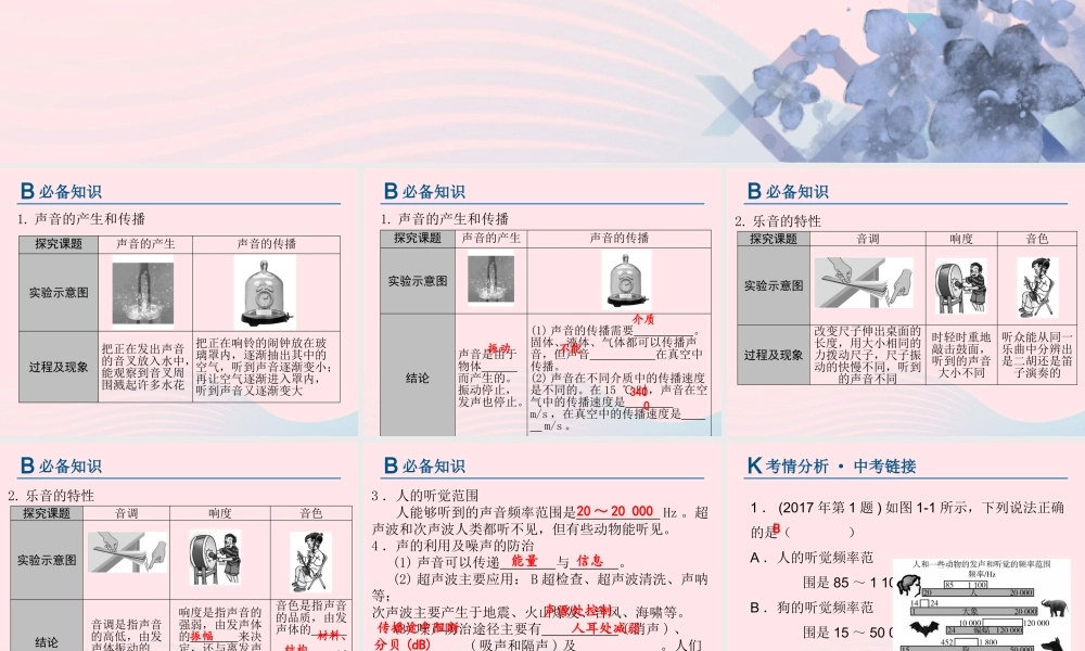 中考物理总复习 第一轮 基础过关 瞄准考点第1讲 声现象课件