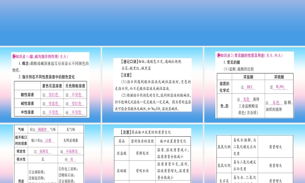 (湖北专版)中考化学总复习 第1部分 教材系统复习 九下 第10单元 酸和碱习题课件2 课件