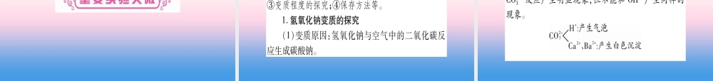 (湖北专版)中考化学总复习 第1部分 教材系统复习 九下 第10单元 酸和碱习题课件2 课件