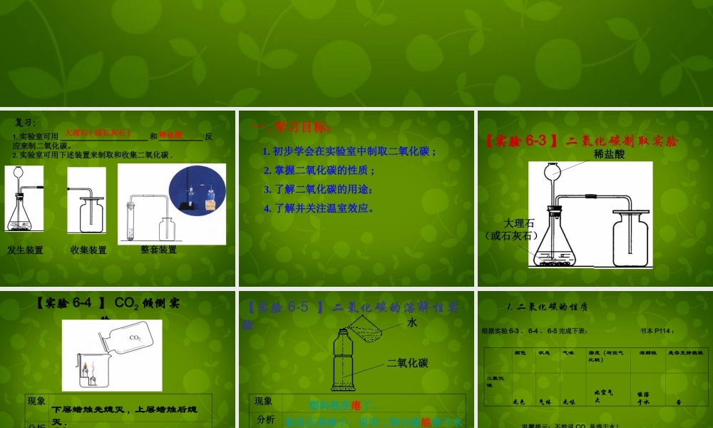 九年级化学上册 63 二氧化碳和一氧化碳课件 (新版)新人教版 课件