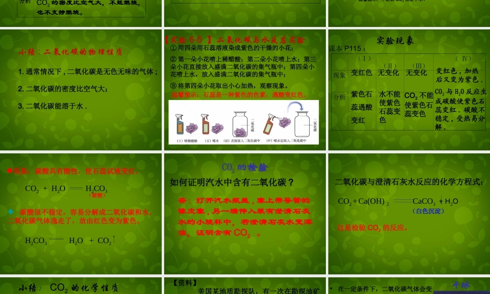 九年级化学上册 63 二氧化碳和一氧化碳课件 (新版)新人教版 课件