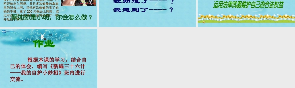 七年级政治下册 第七单元 第16课 第二框(未成年人的自我保护)参考课件3 鲁教版 课件