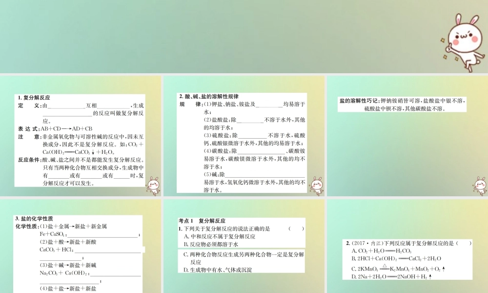 九年级化学下册 第十一单元 盐 化肥 课题1 生活中常见的盐 第3课时 复分解反应和盐的化学性质课件 (新版)新人教版 课件