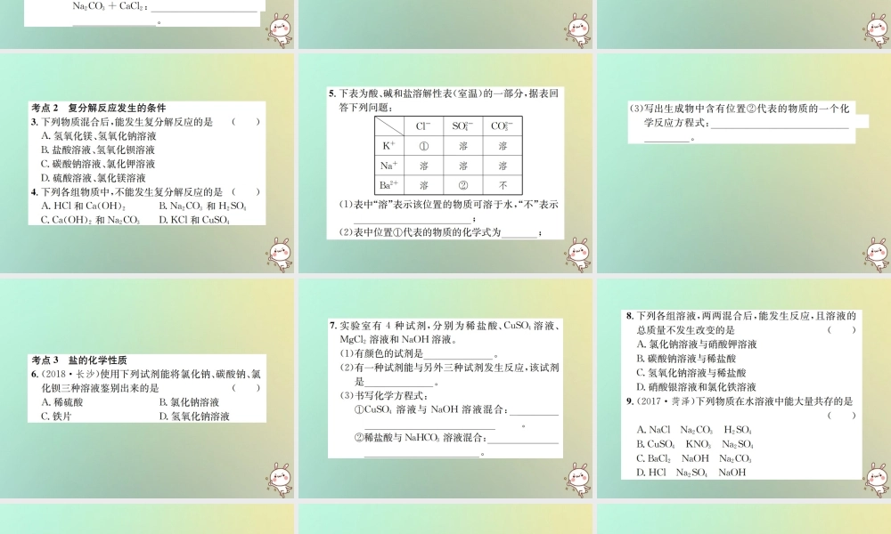 九年级化学下册 第十一单元 盐 化肥 课题1 生活中常见的盐 第3课时 复分解反应和盐的化学性质课件 (新版)新人教版 课件