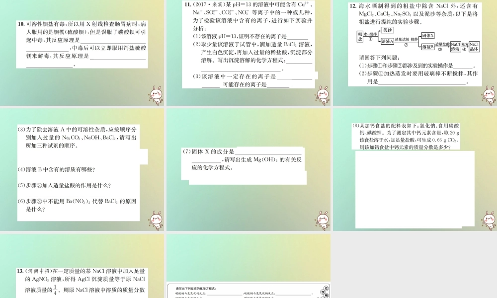 九年级化学下册 第十一单元 盐 化肥 课题1 生活中常见的盐 第3课时 复分解反应和盐的化学性质课件 (新版)新人教版 课件