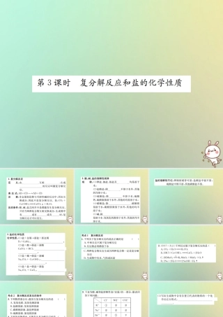 九年级化学下册 第十一单元 盐 化肥 课题1 生活中常见的盐 第3课时 复分解反应和盐的化学性质课件 (新版)新人教版 课件