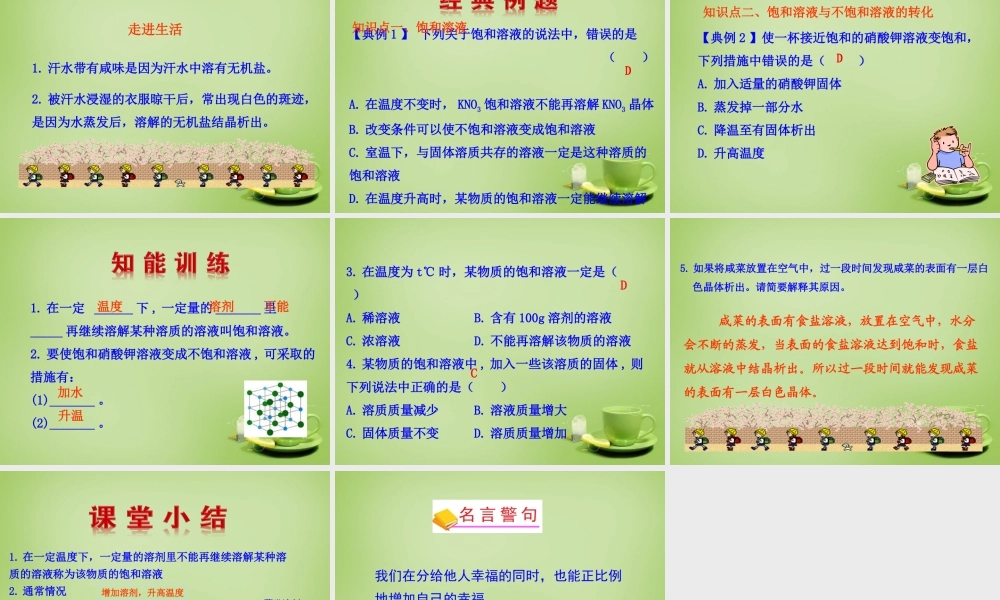 九年级化学下册 第9单元 课题2 溶解度 第1课时 饱和溶液课件 (新版)新人教版 课件