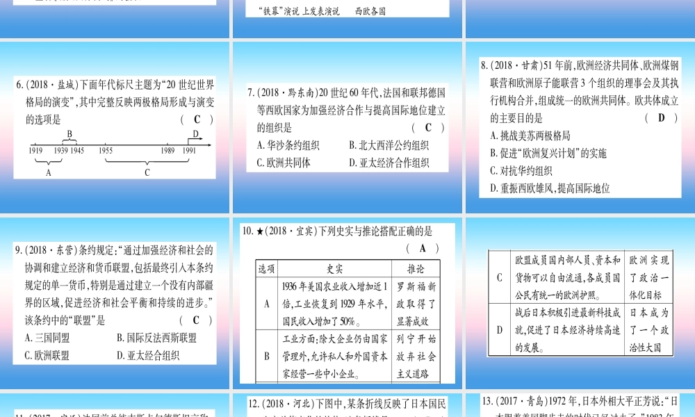 (甘肃专用)中考历史总复习 第一篇 考点系统复习 板块六 世界现代史 主题三 冷战和美苏对峙的世界(精练)课件