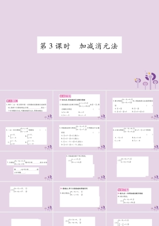 七年级数学上册 第3章 一次方程与方程组 3.3 二元一次方程组及其解法 第3课时 加减消元法课件 (新版)沪科版 课件