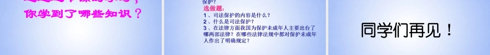 七年级政治下册 我们受法律的特殊保护课件 鲁教版 课件