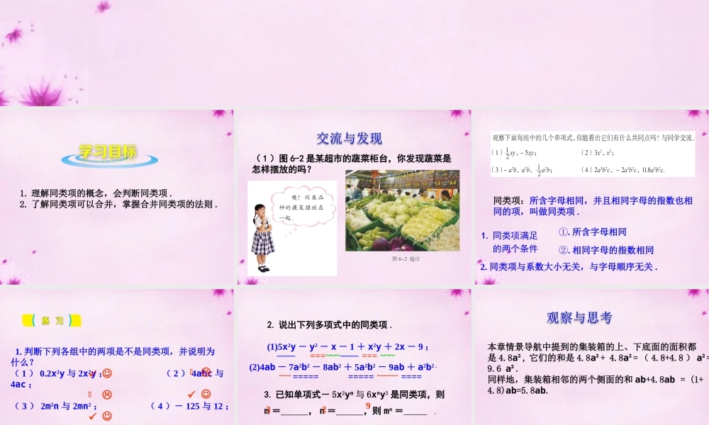 七年级数学上册 6.2 同类项(第1课时)课件 (新版)青岛版 课件