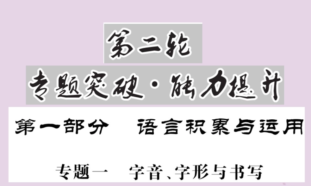 (贵州专版)中考语文复习 第二轮 第一部分 语言积累与运用 专题一 字音、字形与书写备考指南课件