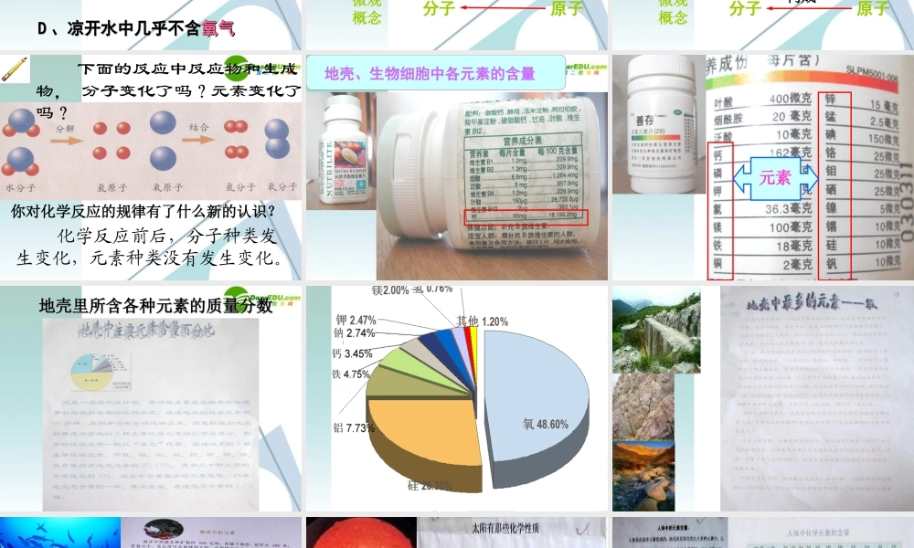 九年级化学上册 42元素课件1 人教新课标版 课件