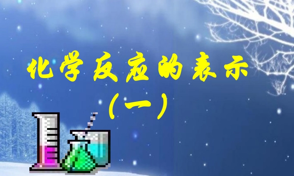 九年级化学 化学反应的表示(一)课件 鲁教版 课件