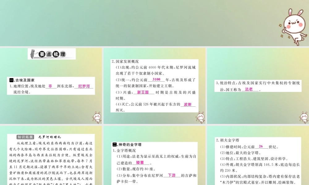 九年级历史上册 第一单元 亚非文明国家 第1课 古代埃及习题课件 川教版 课件