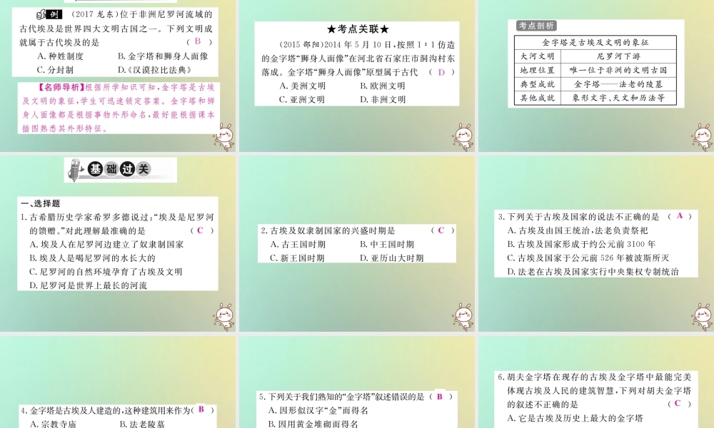 九年级历史上册 第一单元 亚非文明国家 第1课 古代埃及习题课件 川教版 课件